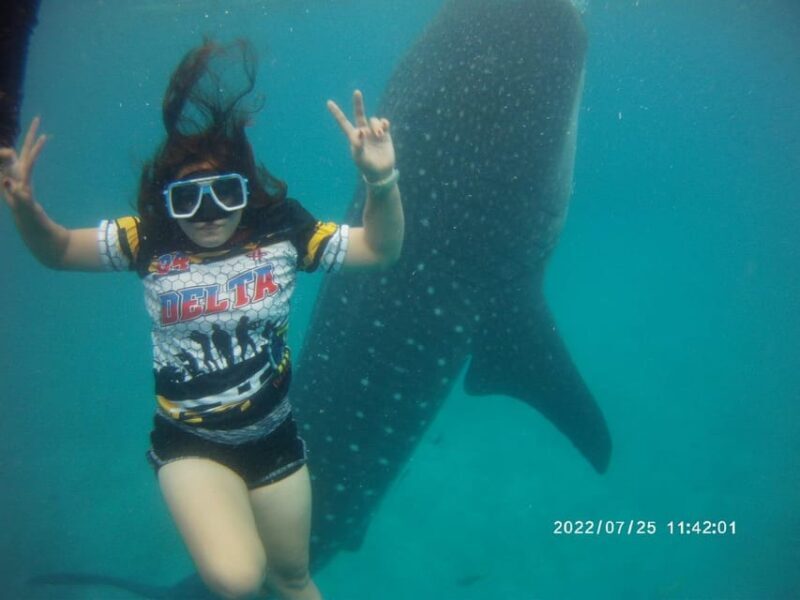 Cebu; Oslob Whaleshark Watching Day Tour - The Practicalities and Tips