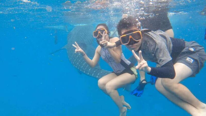 Cebu; Oslob Whaleshark Watching Day Tour - Authentic Perspectives from Travelers