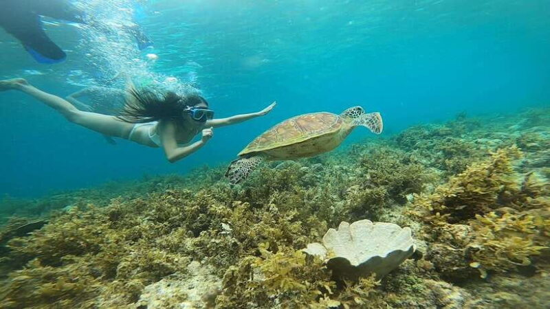 Cebu: Pescador Island, Sardines run and Kawasan Canyoneering - Authentic Experiences and Honest Impressions
