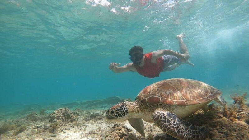 Cebu: Pescador Island, Sardines run and Kawasan Canyoneering - Final Thoughts: Is It Worth It?