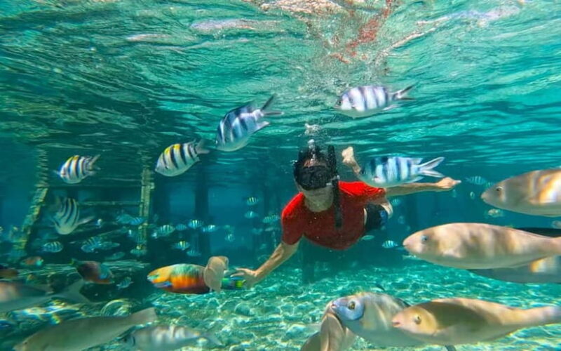 Cebu: Private Mactan Island Hopping Tour with Lunch - Key Points