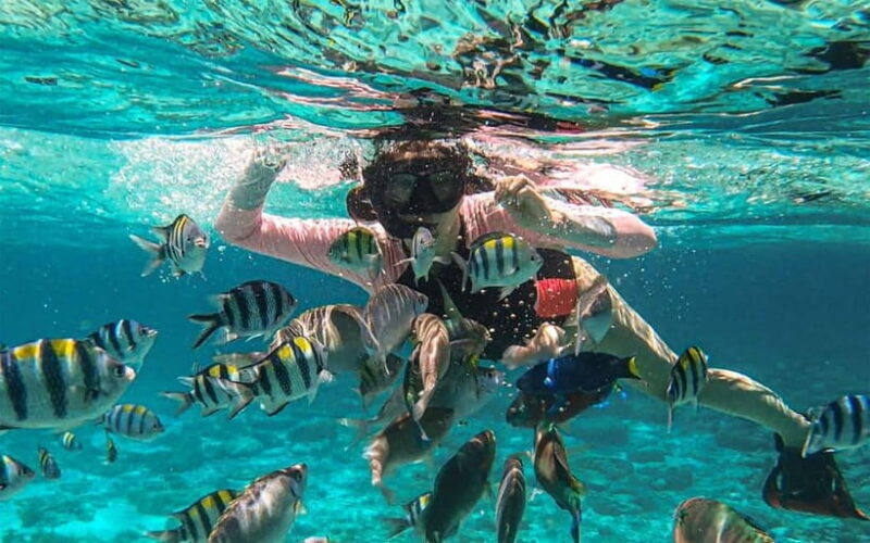 Cebu: Private Mactan Island Hopping Tour with Lunch - A Closer Look at the Tour Itinerary
