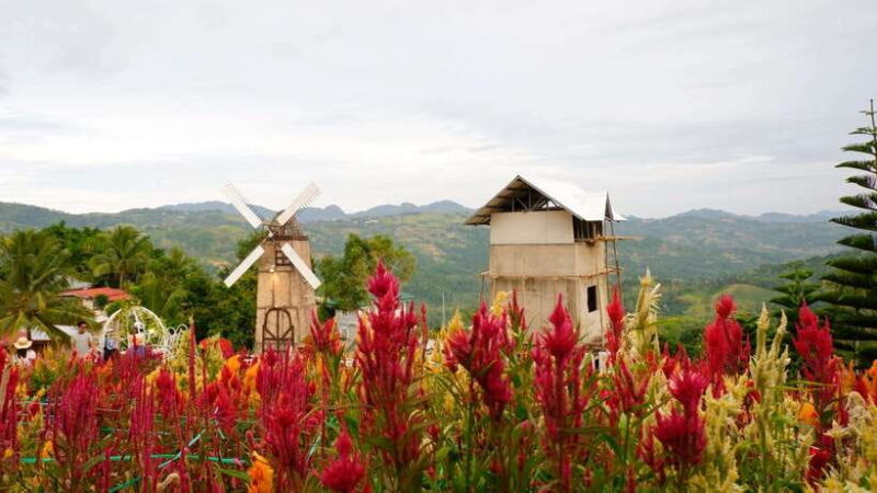 Cebu: Private Panoramic Tour with Dinner - The Transportation and Timing
