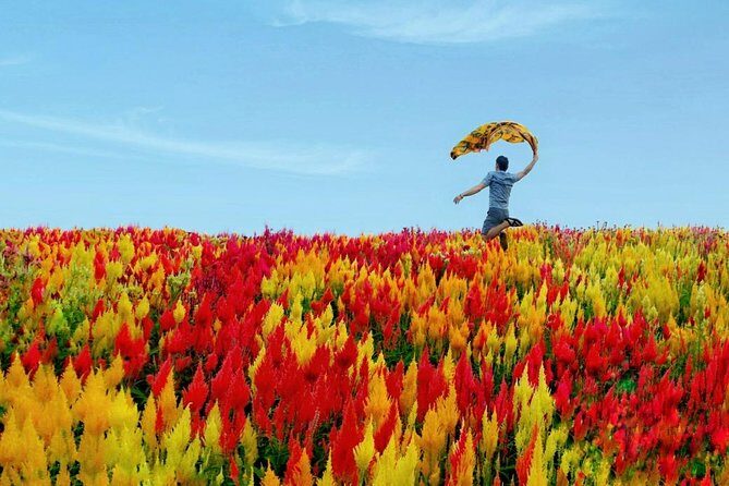 Cebu: Private Twin City Tour +Temple of Leah + Sirao Flower Farm - The Itinerary in Detail: What You’ll Experience