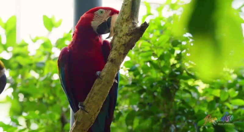 Cebu Safari & Adventure Park: Wildlife Tour with Transfers - Authentic Traveler Feedback