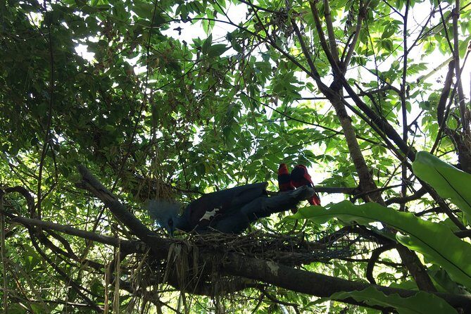 Cebu Safari and Adventure Park - The Tour Experience: How It All Comes Together