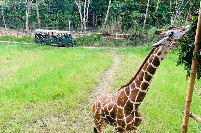 Cebu Safari Journeys - The Safari Experience in Detail