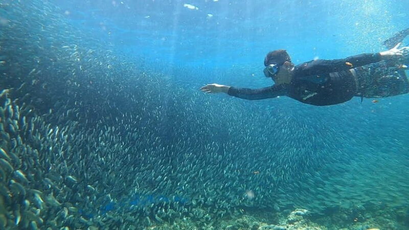 Cebu: Sardine Run Snorkeling, Mantayupan Falls & ATV Thrills - Authentic Experiences and What You’ll Take Home
