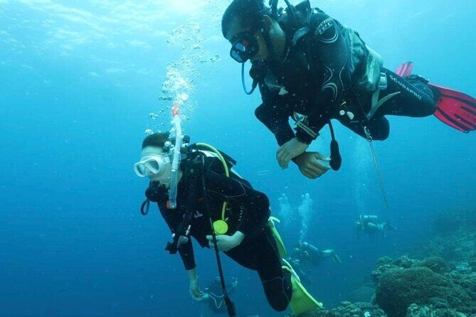 Cebu: Scuba Diving Experience beach entry in Mactan - A Closer Look at the Experience