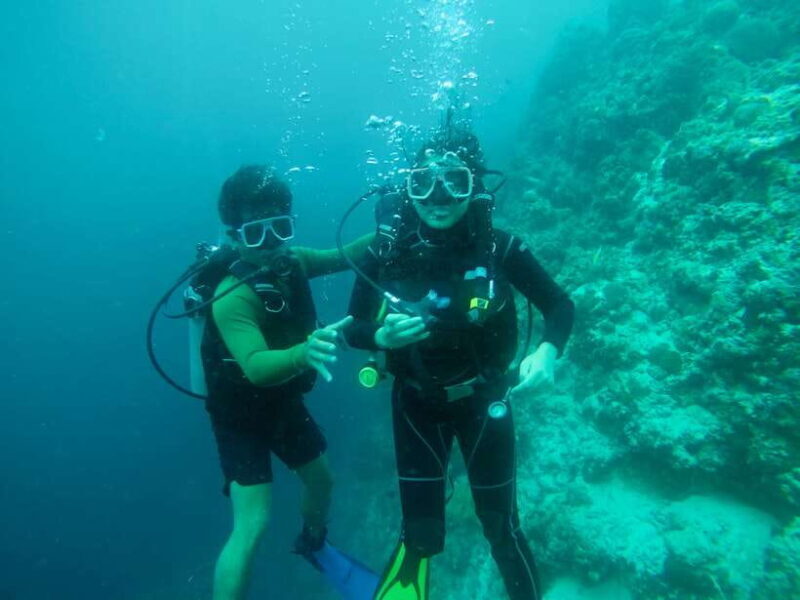 Cebu: Scuba Diving with Sardines and Pescador Island Snorkel - What to Expect from the Tour