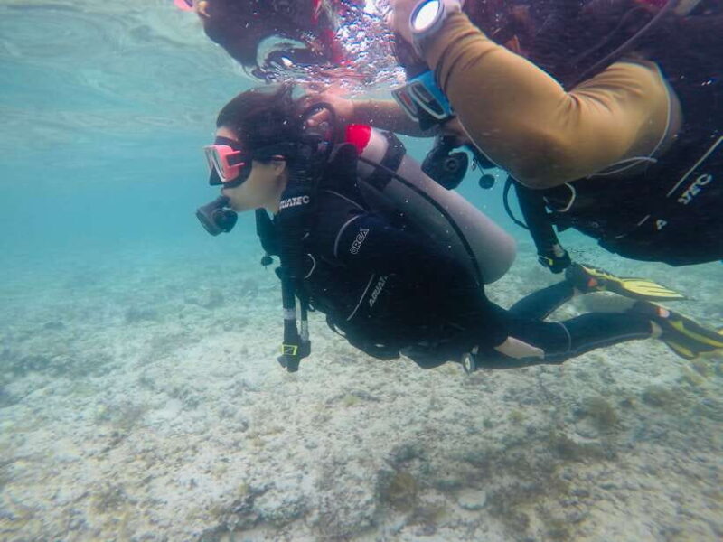 Cebu: Scuba Diving with Sardines and Pescador Island Snorkel - Who Should Consider This Tour?