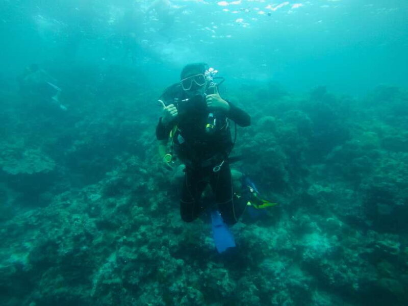 Cebu: Scuba Diving with Sardines and Pescador Island Snorkel - The Sum Up