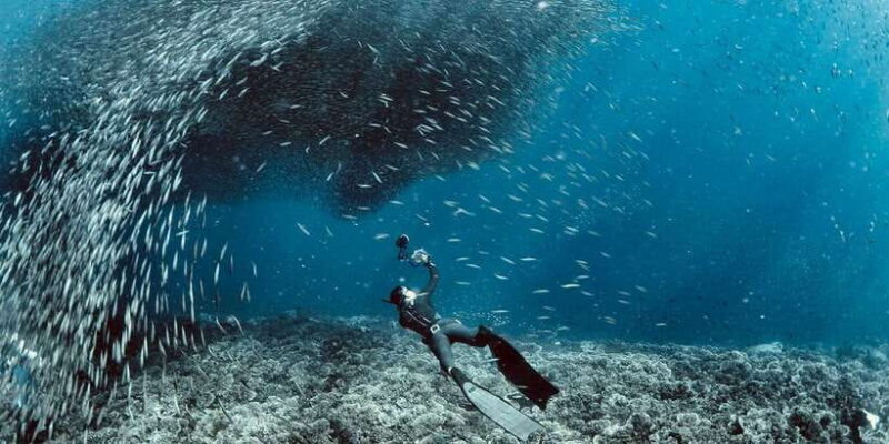 Cebu: Scuba Diving with Sardines and Pescador Island Snorkel - FAQ