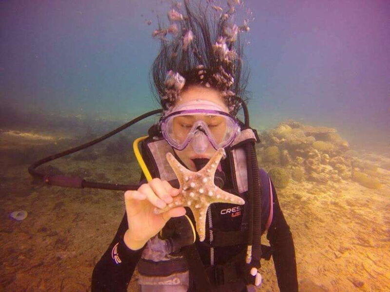 CEBU: Try diving & souvenir underwater photo - Why This Tour Is Worth Considering