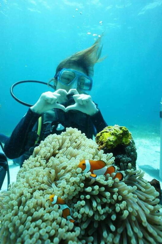 CEBU: Try diving & souvenir underwater photo - What To Know Before You Book