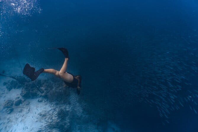 Cebu Ultimate Oslob Whale Shark and Moalboal Turtles Joiner Tour - The Sum Up