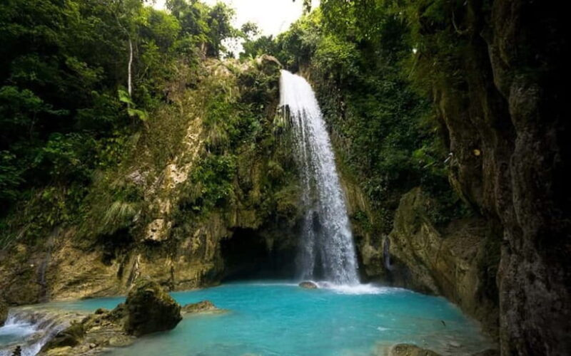 Cebu: Whale Shark, and Sumilon Sandbar and Inambakan Falls - What the Reviews Say