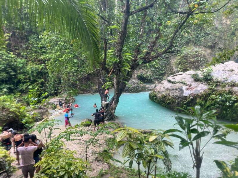 Cebu: Whale Shark, Inambakan Falls & Moalboal Sardine Tour - An Authentic Day of Adventure in Cebu: Whale Shark, Inambakan Falls & Moalboal Sardine Tour