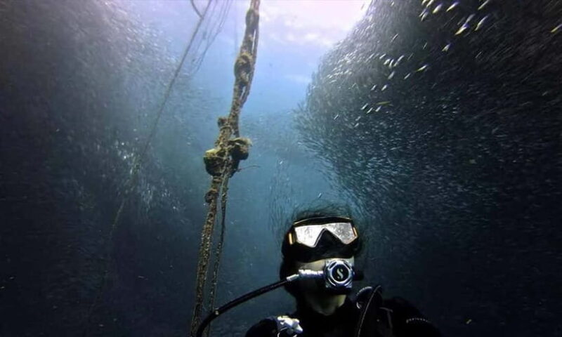 Cebu: Whale Shark, Tumalog, and Moalboal Tour - Practical Tips for the Tour
