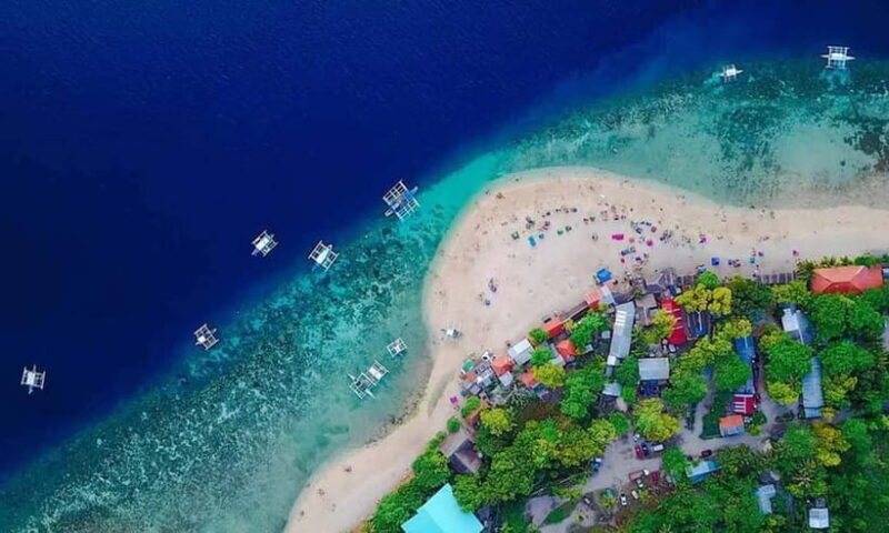 Cebu: Whale Shark, Tumalog, Sumilon, and Moalboal Tour - Final Thoughts: Is This Tour Right for You?