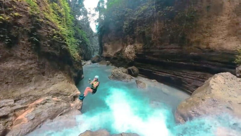 Cebu: Whale Shark Watching and Canyoneering Group Tour - What Travelers Say