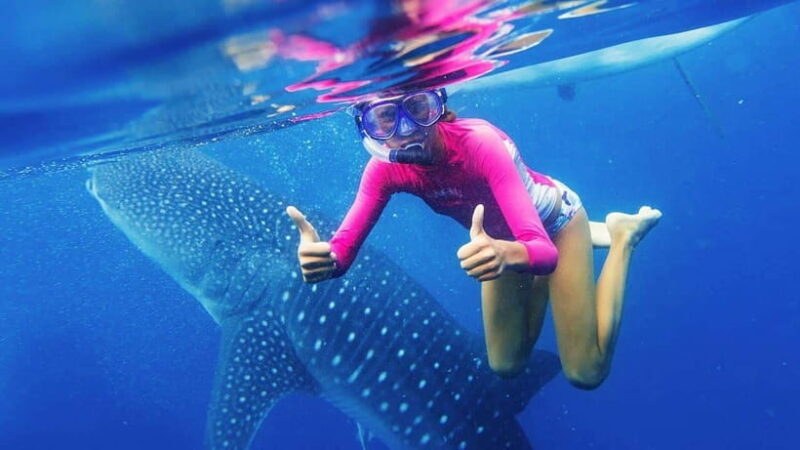 Cebu: Whale Shark Watching and Canyoneering Group Tour - Who Would Enjoy This Tour?