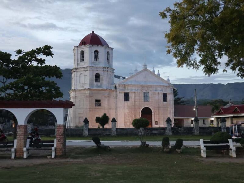 Cebu: Whale Shark Watching & Heritage Tour with Dive Option - Key Points