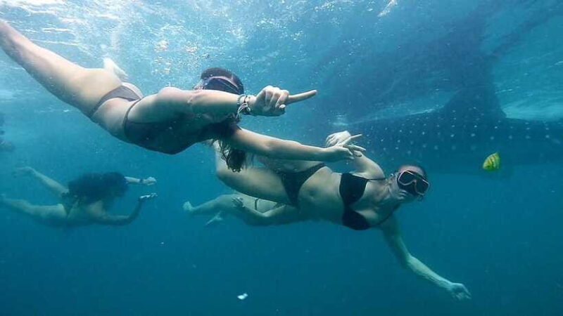 Cebu: Whale Sharks, Ka-Treasure Water Terraces & Simala Tour - Final Thoughts: Is This Tour for You?