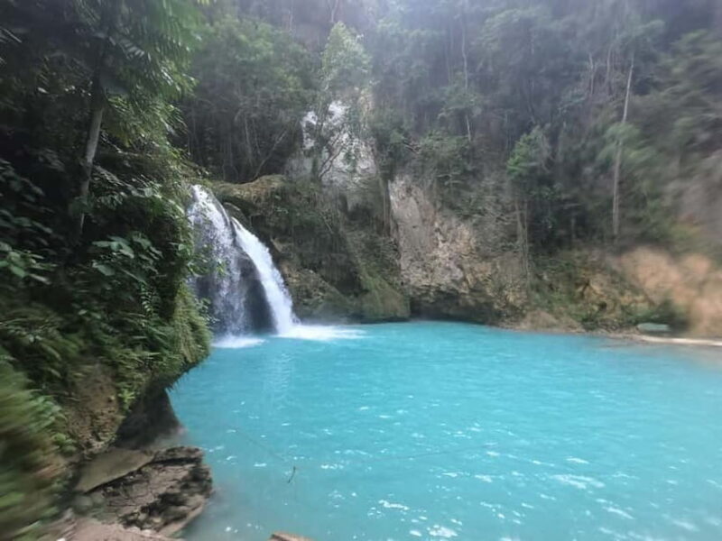 Cebu: Whale Sharks, Kawasan Falls, & Sardines Run Snorkeling - Key Points