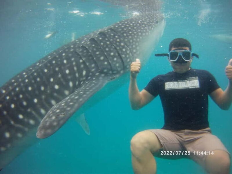 Cebu: Whale Sharks, Kawasan Falls, & Sardines Run Snorkeling - Who Should Consider This Tour?