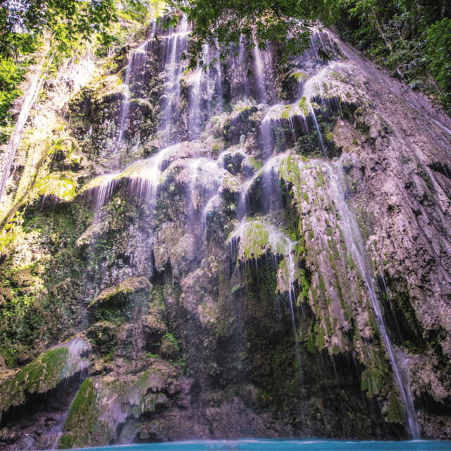 Cebu Whale Sharks Tumalog Falls Sumilon - Practical Tips for Your Day
