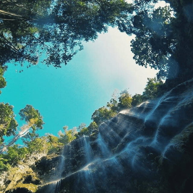 Cebu Whale Sharks Tumalog Falls Sumilon - The Sum Up: Is This Tour for You?