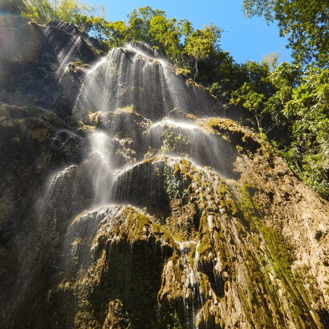 Cebu Whale Sharks Tumalog Falls Sumilon - FAQ