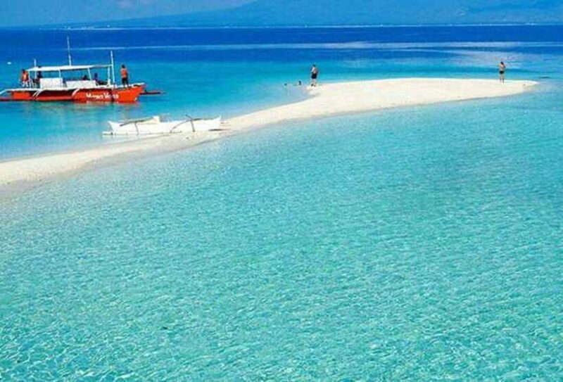 Cebu: Whaleshark Encounter, Tumalog Falls & Sumilon Sandbar - Who Will Love This Tour?