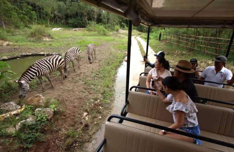 Cebu:Cebu Safari Adventure Park Day Trip - The Realities Based on Visitor Feedback
