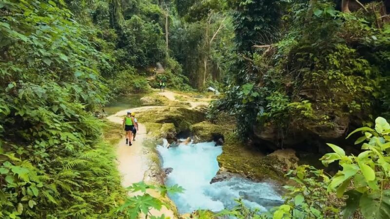 Cebu:Oslob Whale Shark Swimming & Kawasan Falls Canyoneering - The Sum Up