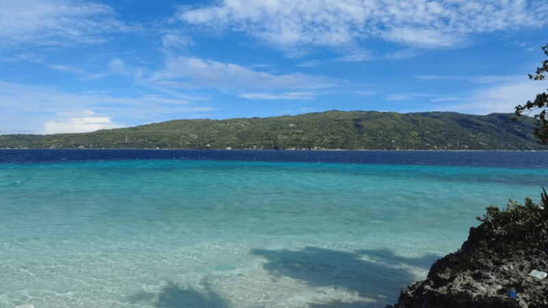 Cebu:Oslob Whales,Sumilon Island & Inambakan Falls Adventure - Who Should Consider This Tour