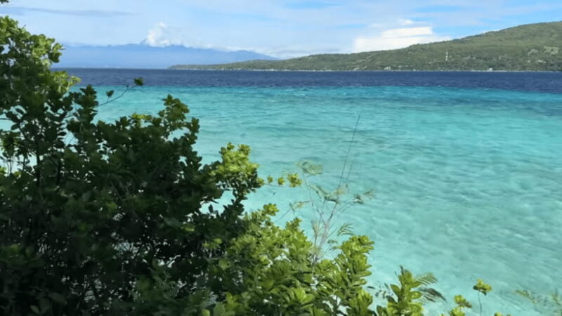 Cebu:Oslob Whales,Sumilon Island & Inambakan Falls Adventure - Final Words