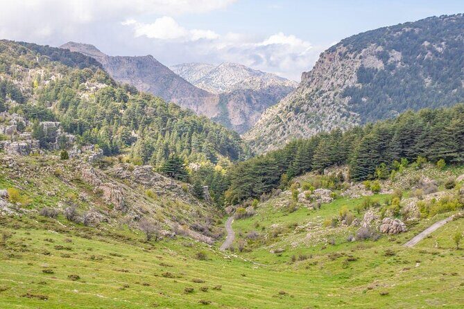 Cedars, Bsharre & Kozhaya Day Tour - Key Points
