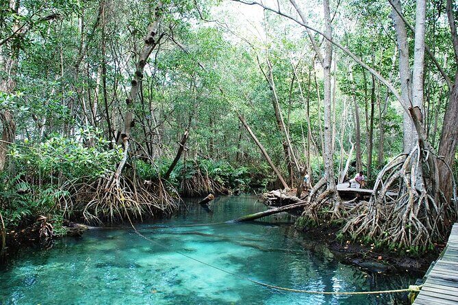 Celestun Beach and Mangrove Boat Ride from Merida - What Travelers Say