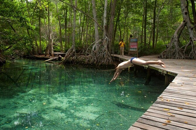 Celestun Beach and Mangrove Boat Ride from Merida - The Sum Up