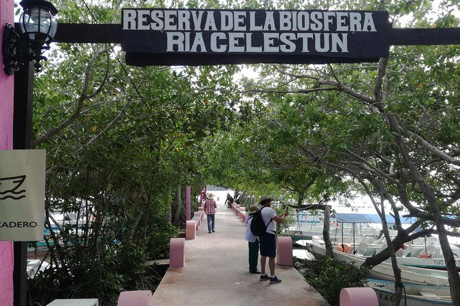 Celestun Biosphere Reserve Tour from Merida - What to Expect: A Detailed Breakdown of the Itinerary