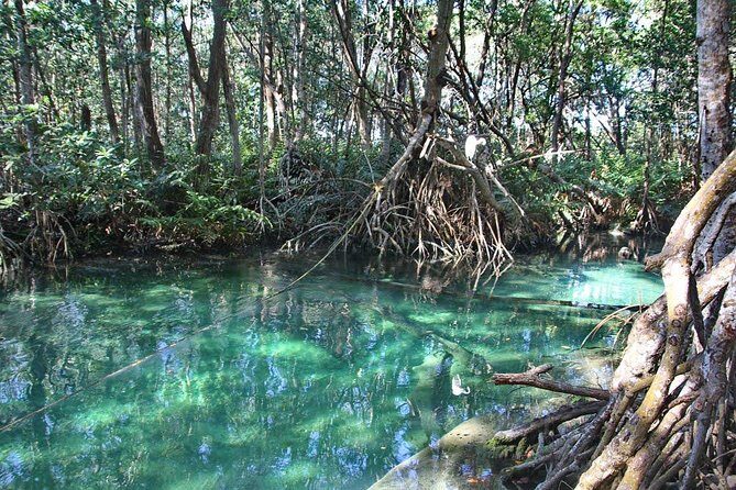 Celestun Biosphere Reserve Tour from Merida - Our Take: Is This Tour Worth It?