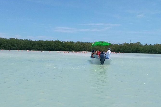 Celestun Biosphere Reserve Tour from Merida - Final Thoughts