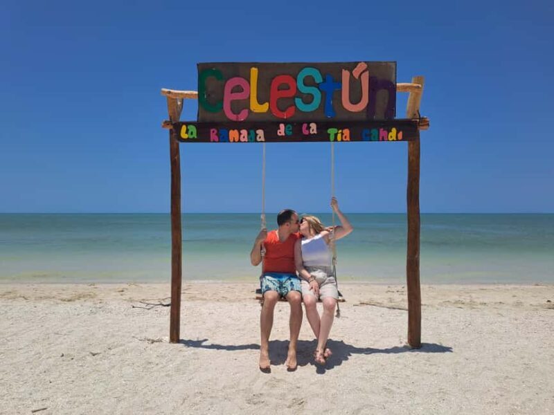 Celestun + Lunch, Boat Ride & beach time. - A Closer Look at the Itinerary and Highlights