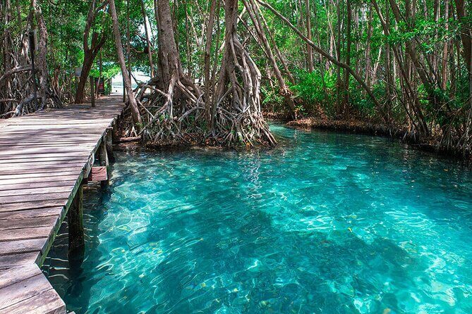 Celestun mangrove boat tour from Mérida - The Value of the Tour