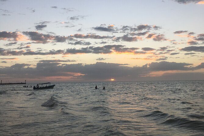 Celestun mangrove boat tour from Mérida - Who Should Consider This Tour?