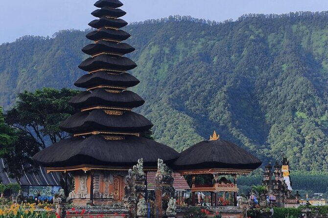 Celukan Bawang private North Bali Nature Tour - The Experience and Reviews from Travelers