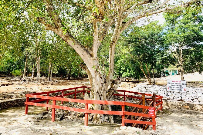 Cenote Adventure Tour - Final Thoughts: Is It Worth It?