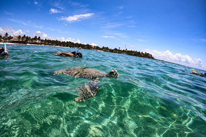 Cenote and Swimming with Turtles Private Tour in Akumal - Practical Tips for Travelers